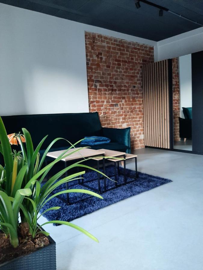 Apartamenty Gliwice Staromiejska 65 Exterior photo